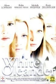 White Oleander