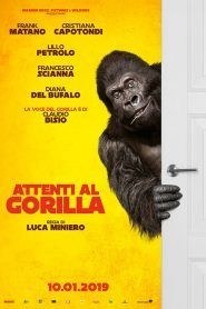 Attenti al gorilla