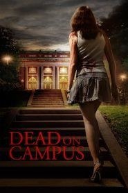Dead on Campus – Un gioco mortale