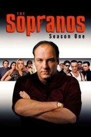 I Soprano: Stagione 1