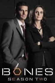 Bones: Stagione 2
