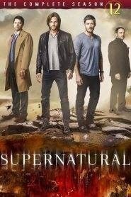 Supernatural: Stagione 12