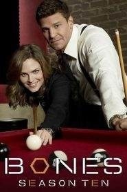Bones: Stagione 10
