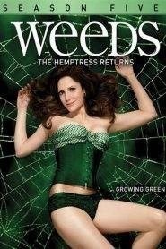 Weeds: Stagione 5