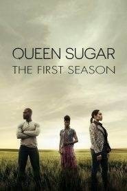 Queen Sugar: Stagione 1