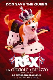 Rex – Un Cucciolo a Palazzo