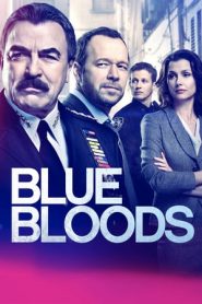 Blue Bloods stagione 9