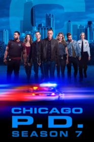 Chicago P.D. stagione 7