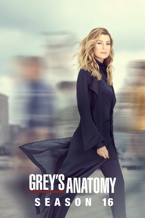 Grey’s Anatomy stagione 16
