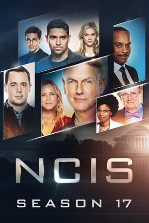 NCIS – Unità anticrimine stagione 17