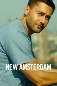 New Amsterdam stagione 2