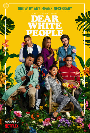 Dear White People stagione 3