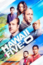 Hawaii Five-0 stagione 9