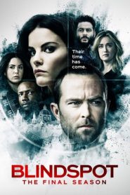 Blindspot stagione 5