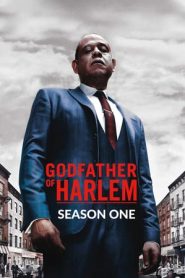 Godfather of Harlem stagione 1