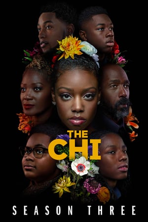 The Chi stagione 3