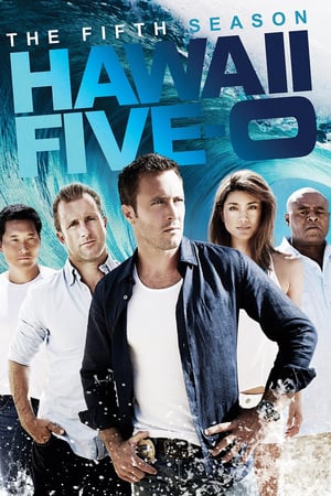 Hawaii Five-0 stagione 5