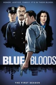Blue Bloods stagione 1