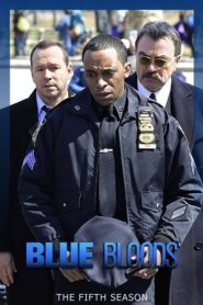 Blue Bloods stagione 5
