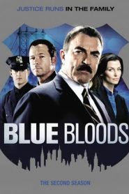 Blue Bloods stagione 2