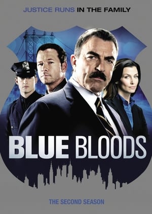 Blue Bloods stagione 2