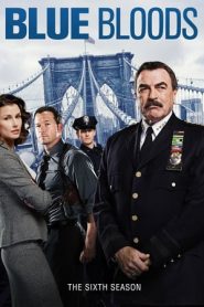 Blue Bloods stagione 6