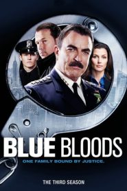 Blue Bloods stagione 3
