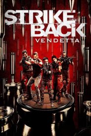 Strike Back – Senza regole stagione 8