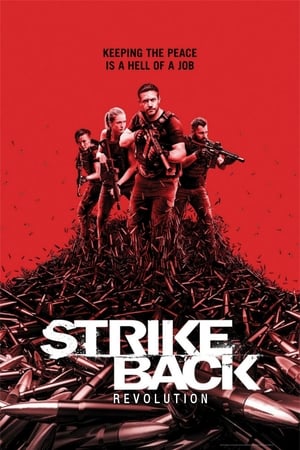 Strike Back – Senza regole stagione 7