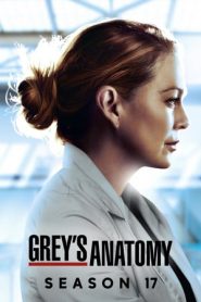 Grey’s Anatomy stagione 17