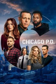 Chicago P.D. stagione 8