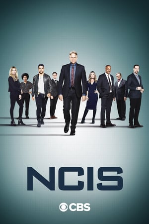 NCIS – Unità anticrimine stagione 18
