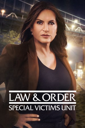 Law & Order – Unità vittime speciali stagione 22
