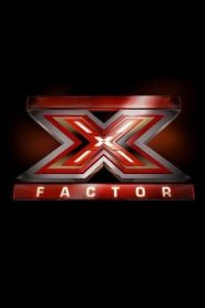 X Factor stagione 14
