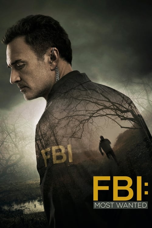FBI: Most Wanted stagione 1