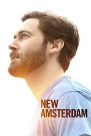 New Amsterdam stagione 3