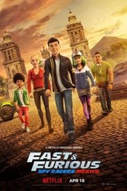 Fast & Furious: Piloti sotto copertura stagione 4