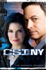 CSI: NY stagione 7