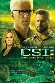 CSI – Scena del crimine stagione 14