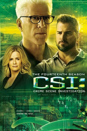 CSI – Scena del crimine stagione 14