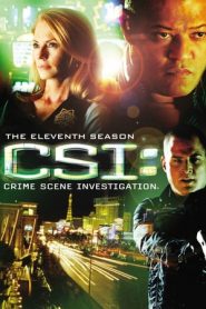 CSI – Scena del crimine stagione 11