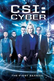 CSI: Cyber stagione 1