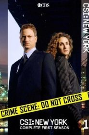 CSI: NY stagione 1