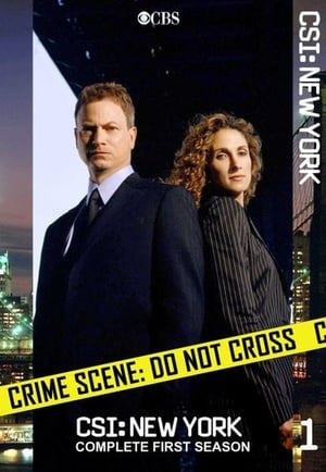 CSI: NY stagione 1
