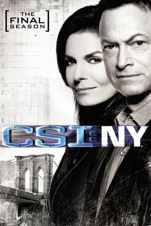 CSI: NY stagione 9