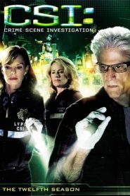 CSI – Scena del crimine stagione 12