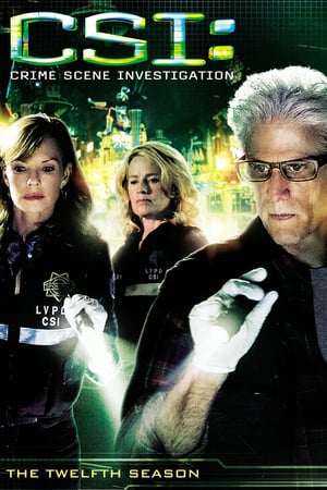 CSI – Scena del crimine stagione 12