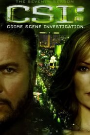 CSI – Scena del crimine stagione 7