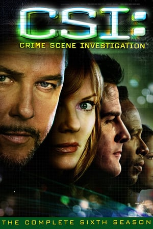 CSI – Scena del crimine stagione 6