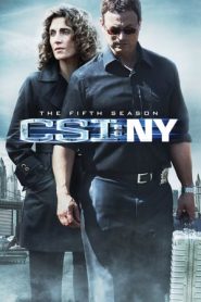 CSI: NY stagione 5